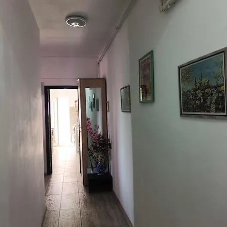 Nico 那沃达利